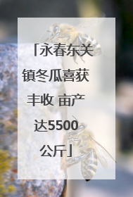 永春东关镇冬瓜喜获丰收 亩产达5500公斤