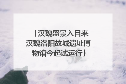 汉魏盛景入目来 汉魏洛阳故城遗址博物馆今起试运行