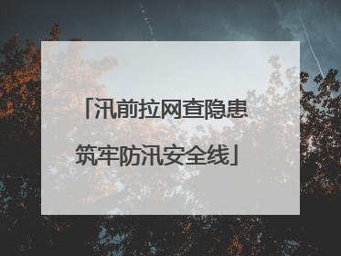 汛前拉网查隐患 筑牢防汛安全线