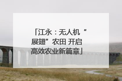 江永：无人机“展翅”农田 开启高效农业新篇章