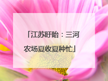 江苏盱眙：三河农场夏收夏种忙