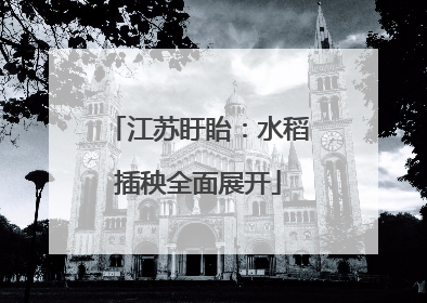 江苏盱眙：水稻插秧全面展开