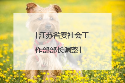 江苏省委社会工作部部长调整