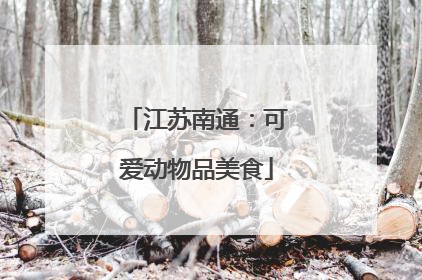 江苏南通：可爱动物品美食