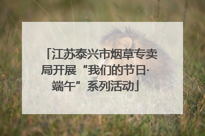 江苏泰兴市烟草专卖局开展“我们的节日·端午”系列活动