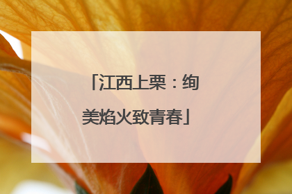 江西上栗：绚美焰火致青春