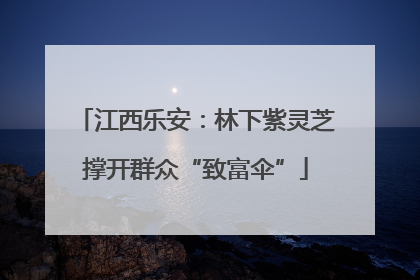江西乐安：林下紫灵芝撑开群众“致富伞”