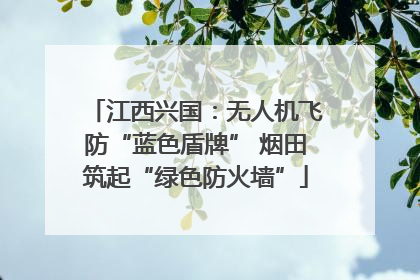 江西兴国：无人机飞防“蓝色盾牌” 烟田筑起“绿色防火墙”