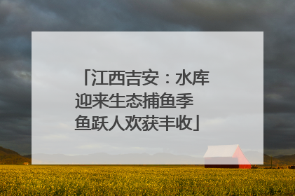 江西吉安：水库迎来生态捕鱼季 鱼跃人欢获丰收