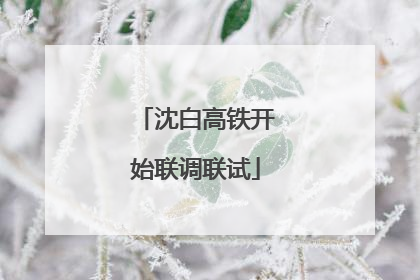 沈白高铁开始联调联试