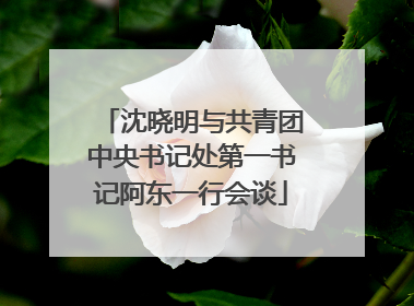 沈晓明与共青团中央书记处第一书记阿东一行会谈