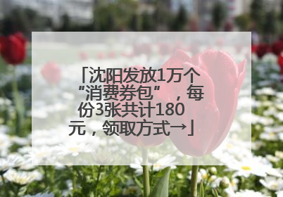 沈阳发放1万个“消费券包”，每份3张共计180元，领取方式→