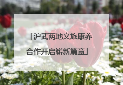 沪武两地文旅康养合作开启崭新篇章
