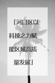 河口区以科技之力赋能区域高质量发展