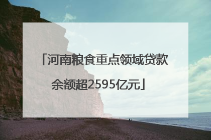 河南粮食重点领域贷款余额超2595亿元