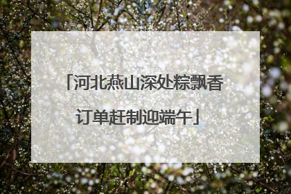 河北燕山深处粽飘香 订单赶制迎端午