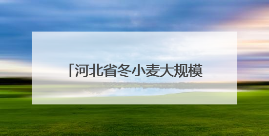 河北省冬小麦大规模机收工作全面启动