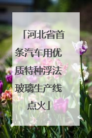 河北省首条汽车用优质特种浮法玻璃生产线点火