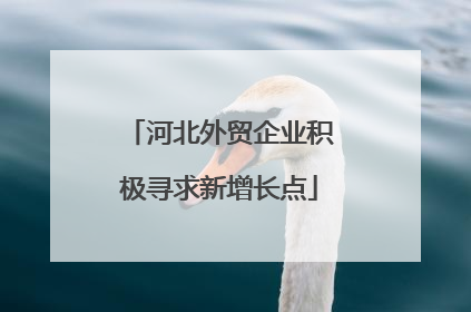 河北外贸企业积极寻求新增长点