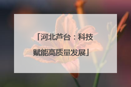 河北芦台：科技赋能高质量发展