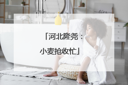 河北隆尧：小麦抢收忙