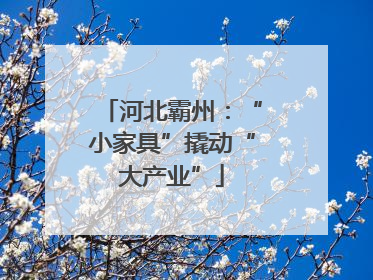 河北霸州：“小家具”撬动“大产业”
