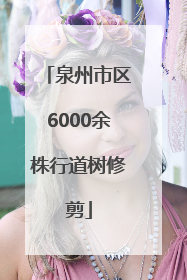 泉州市区6000余株行道树修剪