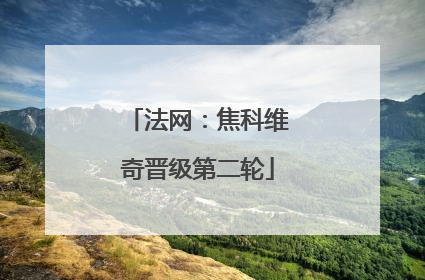 法网：焦科维奇晋级第二轮
