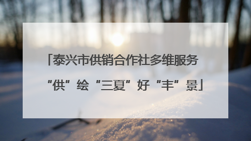 泰兴市供销合作社多维服务 “供”绘“三夏”好“丰”景