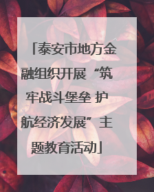 泰安市地方金融组织开展“筑牢战斗堡垒 护航经济发展”主题教育活动