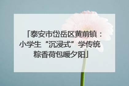 泰安市岱岳区黄前镇：小学生“沉浸式”学传统 粽香荷包暖夕阳