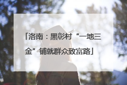 洛南：黑彰村“一地三金”铺就群众致富路
