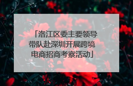 洛江区委主要领导带队赴深圳开展跨境电商招商考察活动