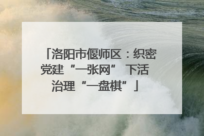 洛阳市偃师区：织密党建“一张网” 下活治理“一盘棋”