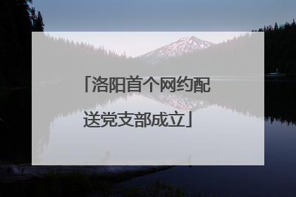洛阳首个网约配送党支部成立