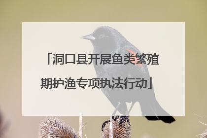 洞口县开展鱼类繁殖期护渔专项执法行动