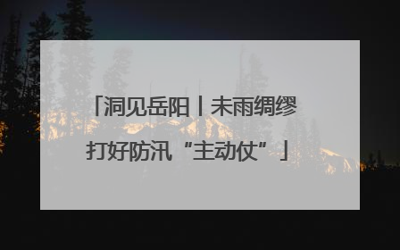 洞见岳阳丨未雨绸缪 打好防汛“主动仗”