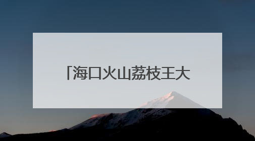 海口火山荔枝王大比拼 单颗拍卖出6.8万元高价