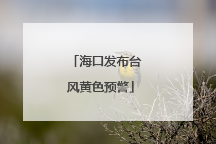 海口发布台风黄色预警
