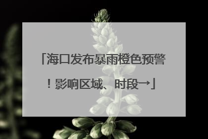 海口发布暴雨橙色预警！影响区域、时段→