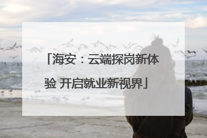 海安：云端探岗新体验 开启就业新视界