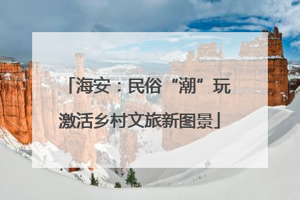 海安：民俗“潮”玩激活乡村文旅新图景