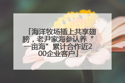 海洋牧场插上共享翅膀，老尹家海参认养“一亩海”累计合作近200企业客户