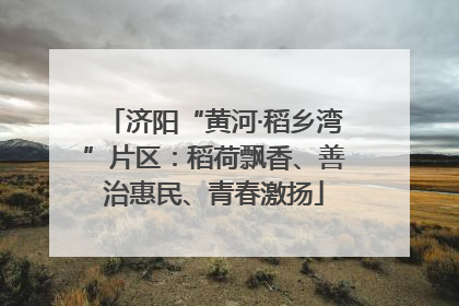济阳“黄河·稻乡湾”片区：稻荷飘香、善治惠民、青春激扬