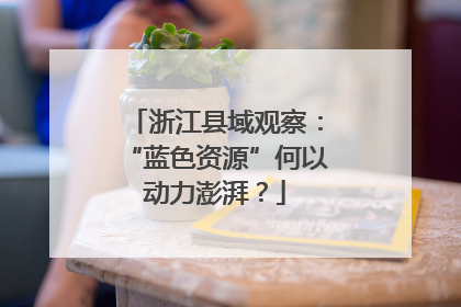 浙江县域观察：“蓝色资源”何以动力澎湃？