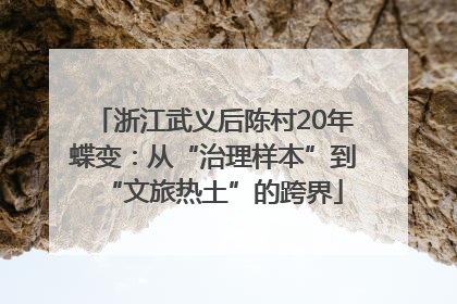 浙江武义后陈村20年蝶变：从“治理样本”到“文旅热土”的跨界