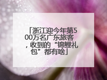 浙江迎今年第500万名广东旅客，收到的“锦鲤礼包”都有啥