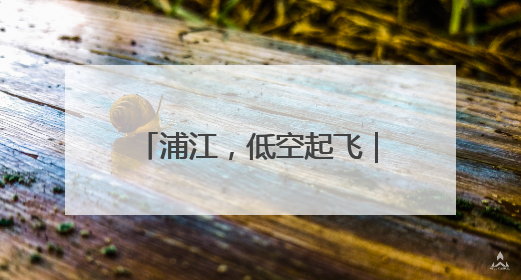 浦江，低空起飞｜2025对话街镇
