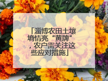 淄博农田土壤墒情亮“黄牌”，农户需关注这些应对措施