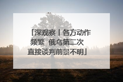 深观察丨各方动作频繁  俄乌第二次直接谈判前景不明